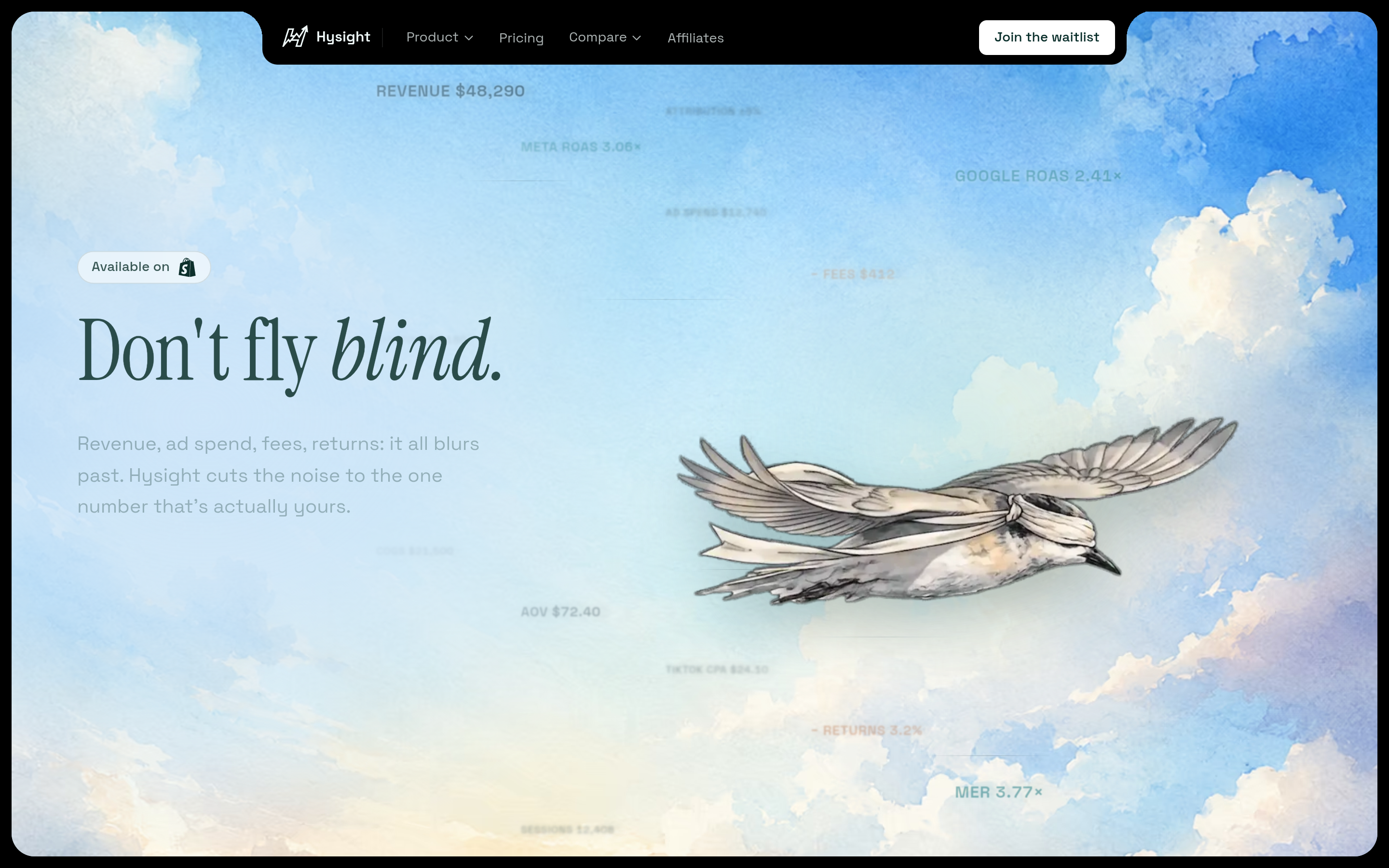 Hysight homepage with profit dashboard and waitlist CTA